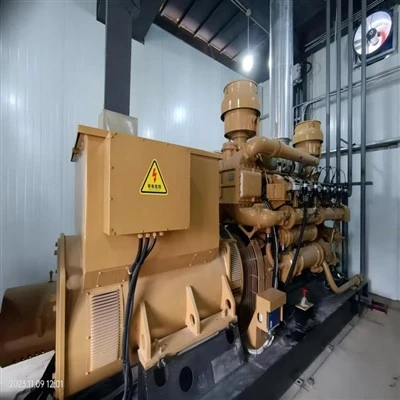 Centrale électrique à biomasse 500kw